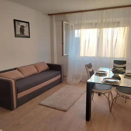 Apartmán Central, Victoriei, Sanador, Titulescu, Brand New, 2camere *